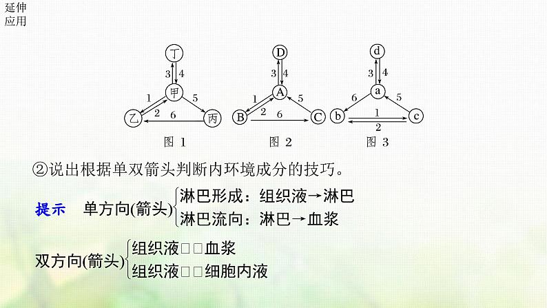 苏教版2024届高考生物一轮复习内环境的稳态课件第8页