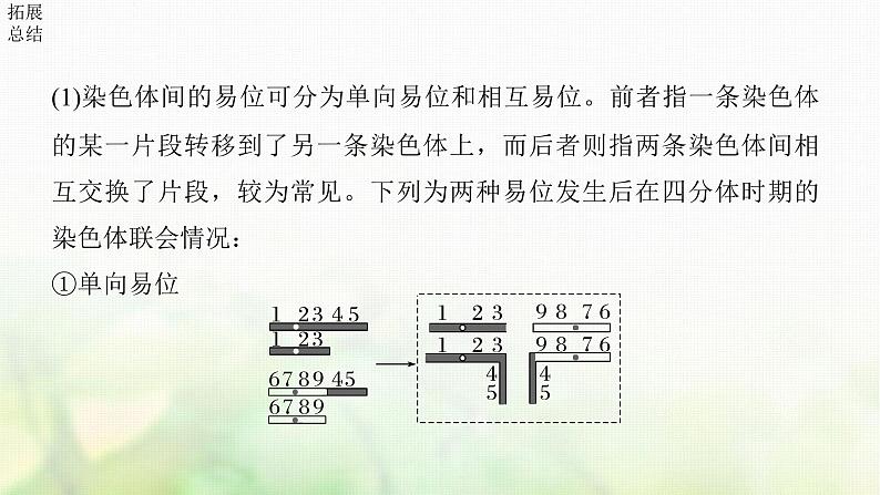 苏教版2024届高考生物一轮复习染色体变异课件第7页