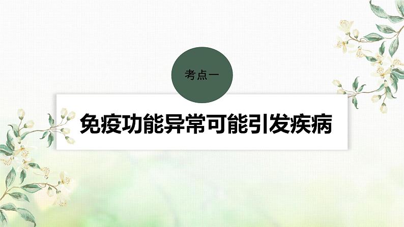 苏教版2024届高考生物一轮复习人体免疫功能异常课件04