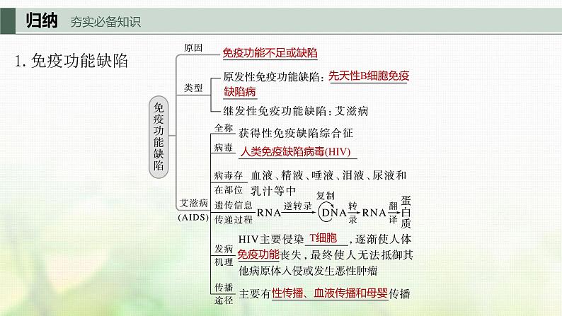 苏教版2024届高考生物一轮复习人体免疫功能异常课件05