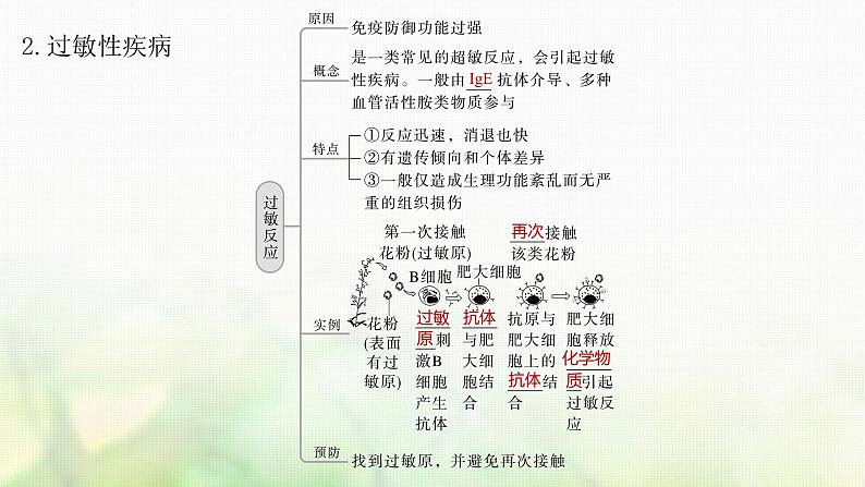 苏教版2024届高考生物一轮复习人体免疫功能异常课件06