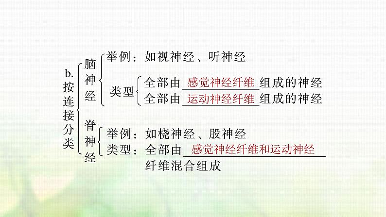 苏教版2024届高考生物一轮复习神经调节的结构基础及动作电位的产生和传导课件第7页