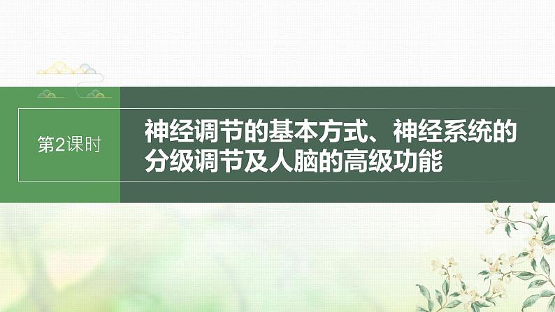 苏教版2024届高考生物一轮复习神经调节的基本方式、神经系统的分级调节及人脑的高级功能课件01