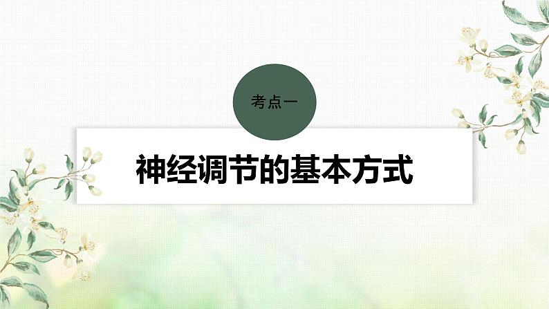 苏教版2024届高考生物一轮复习神经调节的基本方式、神经系统的分级调节及人脑的高级功能课件04