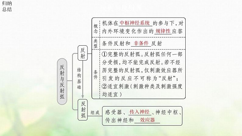 苏教版2024届高考生物一轮复习神经调节的基本方式、神经系统的分级调节及人脑的高级功能课件07