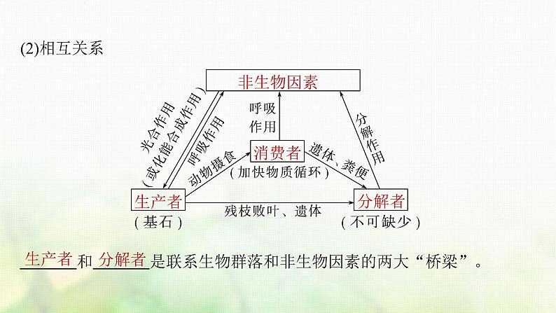 苏教版2024届高考生物一轮复习生态系统的结构课件第8页