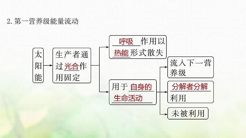 苏教版2024届高考生物一轮复习生态系统的能量流动课件第5页