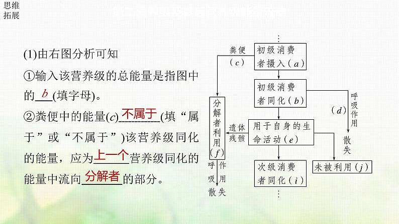 苏教版2024届高考生物一轮复习生态系统的能量流动课件第7页