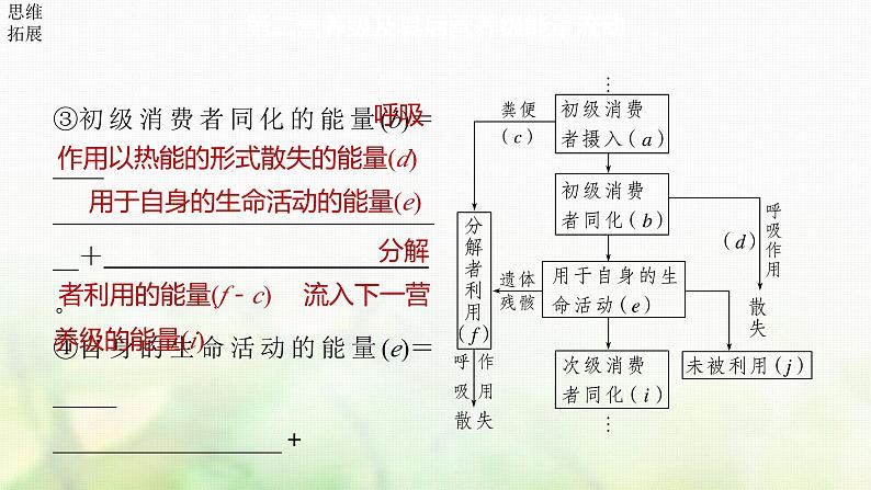 苏教版2024届高考生物一轮复习生态系统的能量流动课件第8页