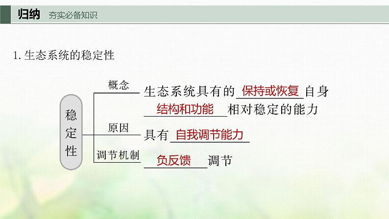 苏教版2024届高考生物一轮复习生态系统的稳定性课件第5页