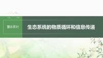 苏教版2024届高考生物一轮复习生态系统的物质循环和信息传递课件