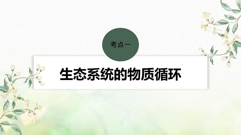 苏教版2024届高考生物一轮复习生态系统的物质循环和信息传递课件04