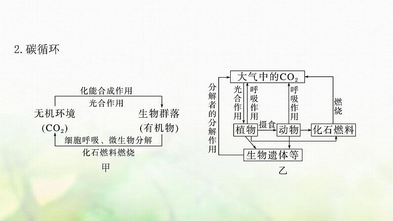 苏教版2024届高考生物一轮复习生态系统的物质循环和信息传递课件06