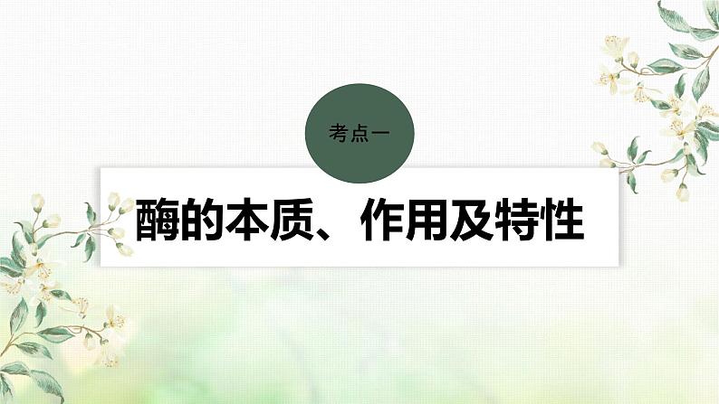 苏教版2024届高考生物一轮复习生物催化剂——酶课件第4页