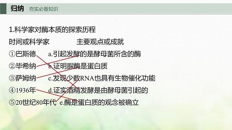 苏教版2024届高考生物一轮复习生物催化剂——酶课件第5页