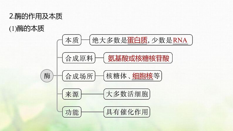 苏教版2024届高考生物一轮复习生物催化剂——酶课件第6页