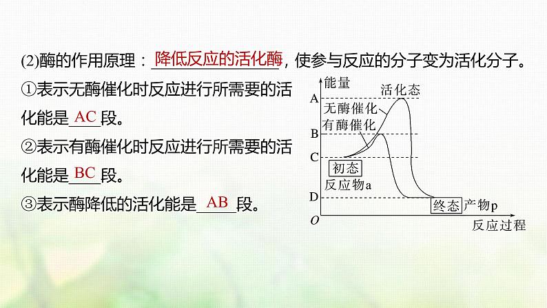 苏教版2024届高考生物一轮复习生物催化剂——酶课件第7页