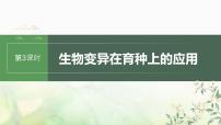 苏教版2024届高考生物一轮复习生物变异在育种上的应用课件