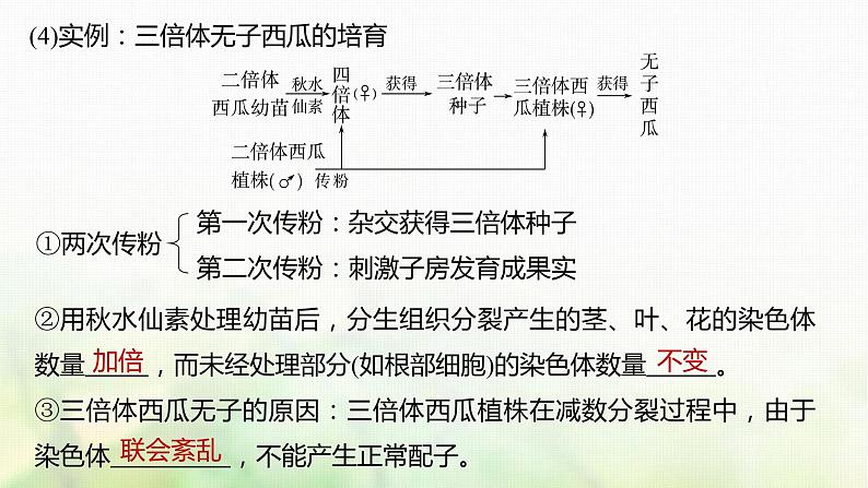 苏教版2024届高考生物一轮复习生物变异在育种上的应用课件第7页