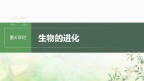 苏教版2024届高考生物一轮复习生物的进化课件