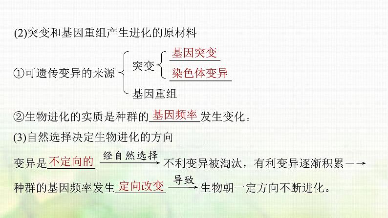 苏教版2024届高考生物一轮复习生物的进化课件07