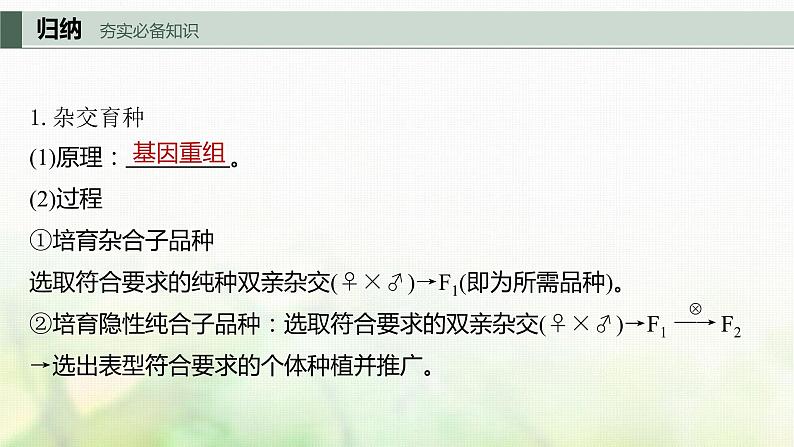 苏教版2024届高考生物一轮复习生物变异在育种上的应用课件03