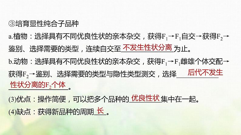 苏教版2024届高考生物一轮复习生物变异在育种上的应用课件04