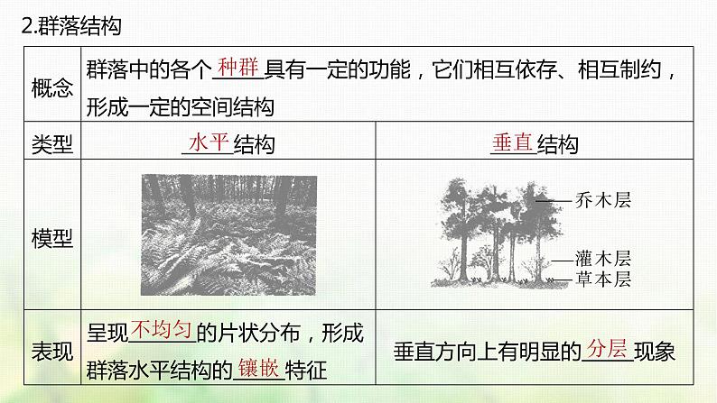 苏教版2024届高考生物一轮复习生物群落的结构课件第4页