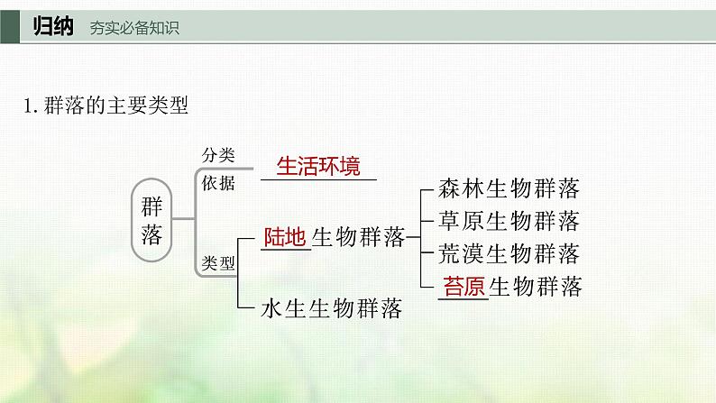 苏教版2024届高考生物一轮复习生物群落的主要类型及演替课件第5页