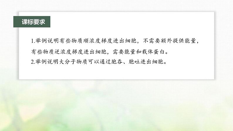 苏教版2024届高考生物一轮复习物质出入细胞的方式及影响因素课件第2页