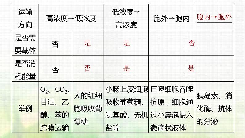 苏教版2024届高考生物一轮复习物质出入细胞的方式及影响因素课件第4页