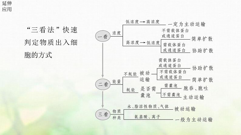 苏教版2024届高考生物一轮复习物质出入细胞的方式及影响因素课件第7页