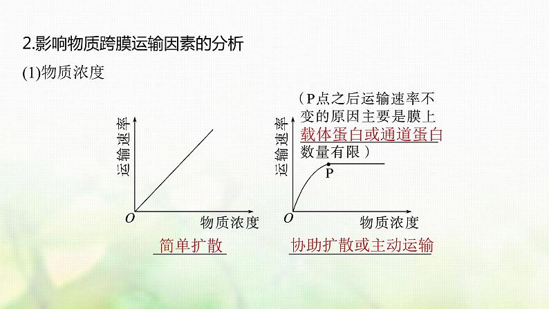 苏教版2024届高考生物一轮复习物质出入细胞的方式及影响因素课件第8页