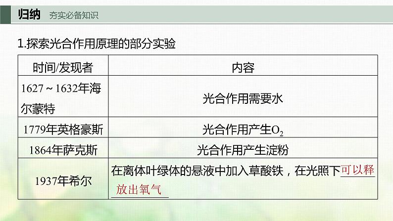 苏教版2024届高考生物一轮复习探索光合作用及其过程课件第3页