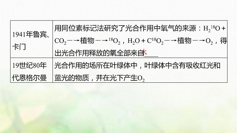 苏教版2024届高考生物一轮复习探索光合作用及其过程课件第4页