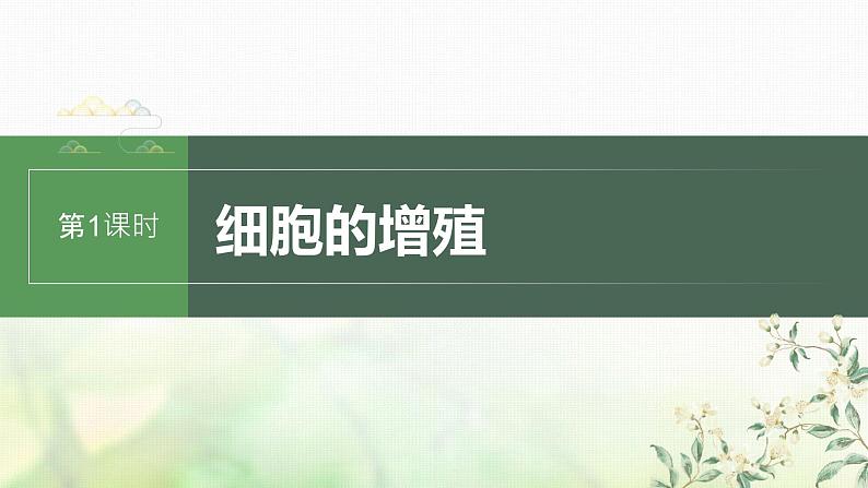 苏教版2024届高考生物一轮复习细胞的增殖课件01