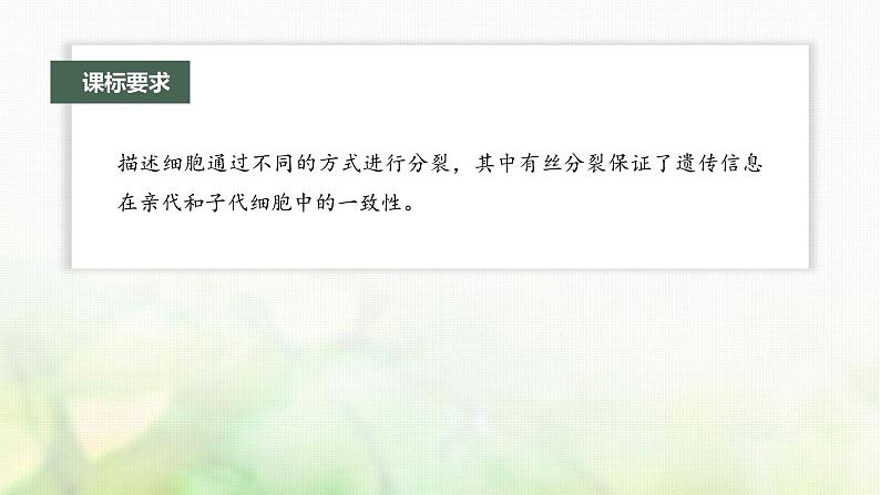 苏教版2024届高考生物一轮复习细胞的增殖课件02