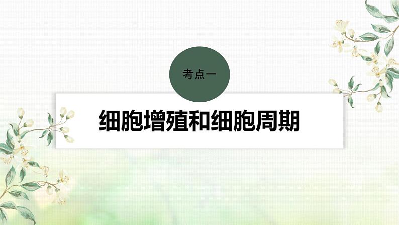 苏教版2024届高考生物一轮复习细胞的增殖课件04