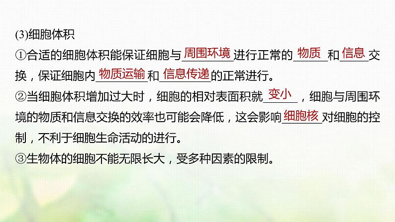 苏教版2024届高考生物一轮复习细胞的增殖课件06