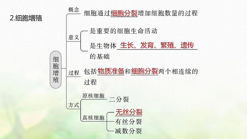 苏教版2024届高考生物一轮复习细胞的增殖课件07
