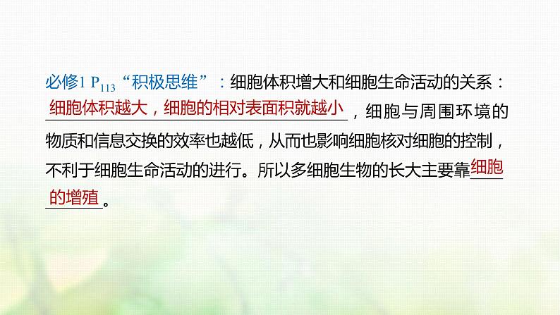 苏教版2024届高考生物一轮复习细胞的增殖课件08