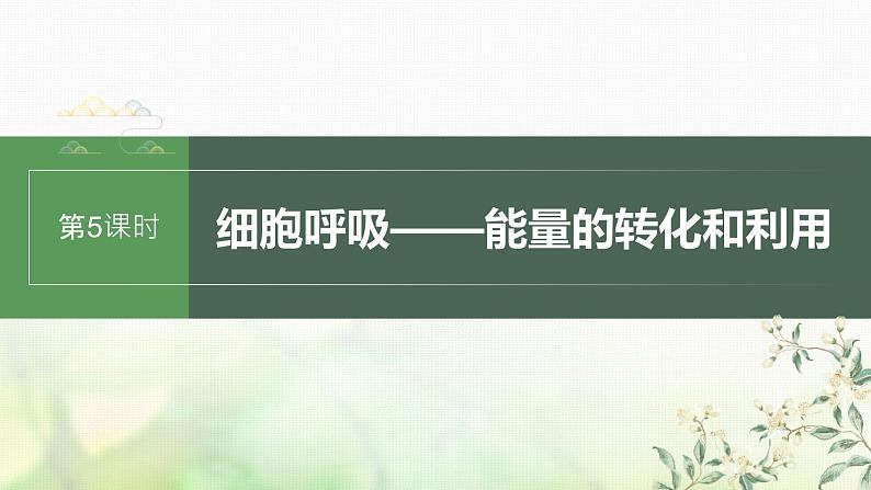 苏教版2024届高考生物一轮复习细胞呼吸——能量的转化和利用课件01