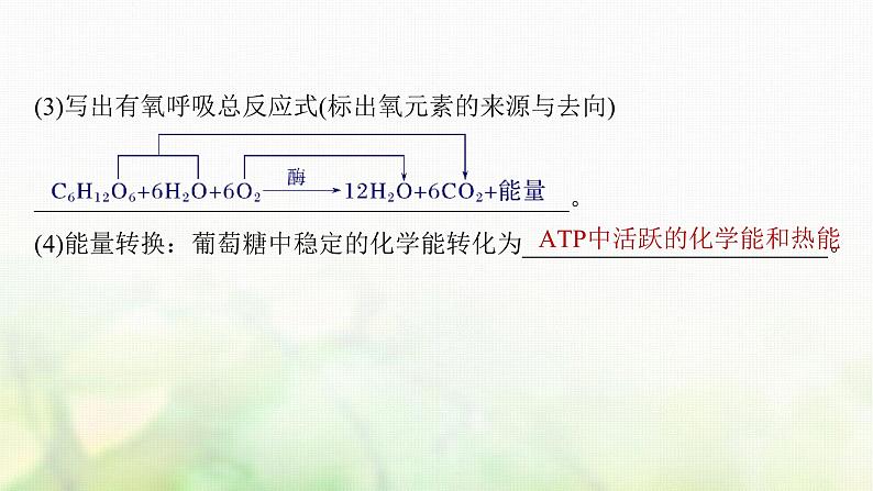 苏教版2024届高考生物一轮复习细胞呼吸——能量的转化和利用课件07