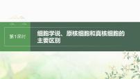 苏教版2024届高考生物一轮复习细胞学说、原核细胞和真核细胞的主要区别课件