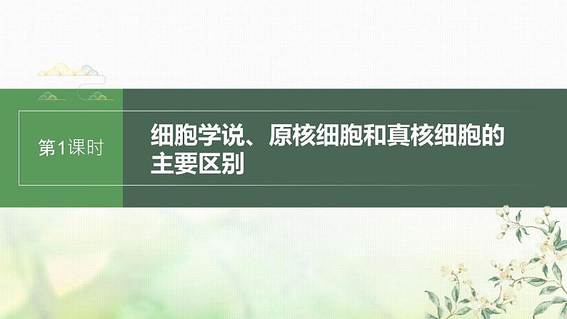 苏教版2024届高考生物一轮复习细胞学说、原核细胞和真核细胞的主要区别课件01