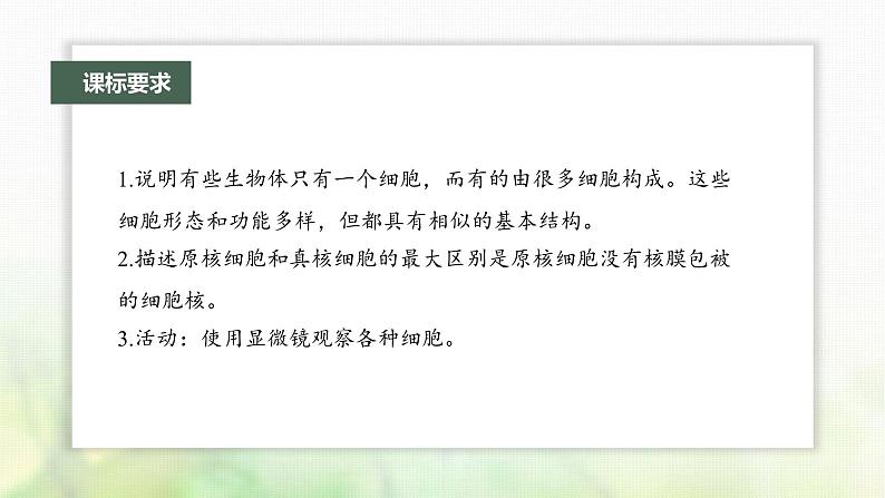 苏教版2024届高考生物一轮复习细胞学说、原核细胞和真核细胞的主要区别课件02