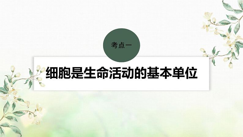 苏教版2024届高考生物一轮复习细胞学说、原核细胞和真核细胞的主要区别课件04