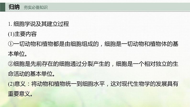 苏教版2024届高考生物一轮复习细胞学说、原核细胞和真核细胞的主要区别课件05