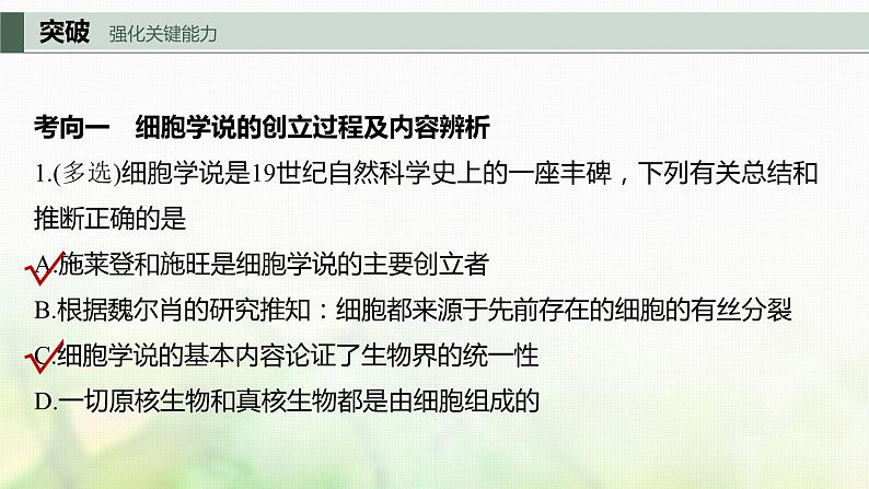 苏教版2024届高考生物一轮复习细胞学说、原核细胞和真核细胞的主要区别课件08