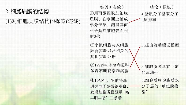 苏教版2024届高考生物一轮复习细胞质膜将细胞与外界环境分开课件08